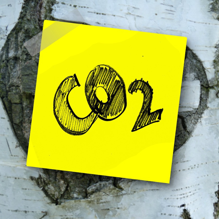 CO2 auf einem Sticker auf einem Baum