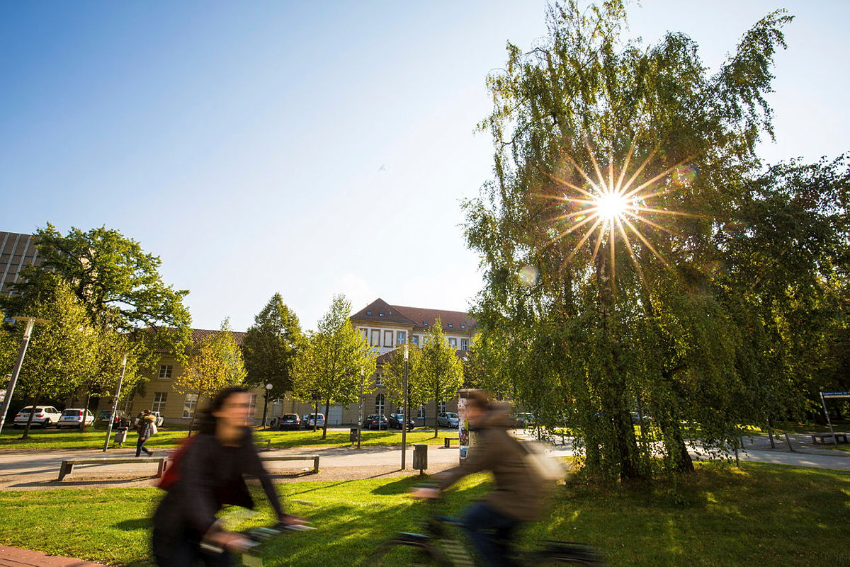 Zwei Radfahrer vor Baum mit Sonne bei Tageslicht in städtischem Park mit Gebäuden.