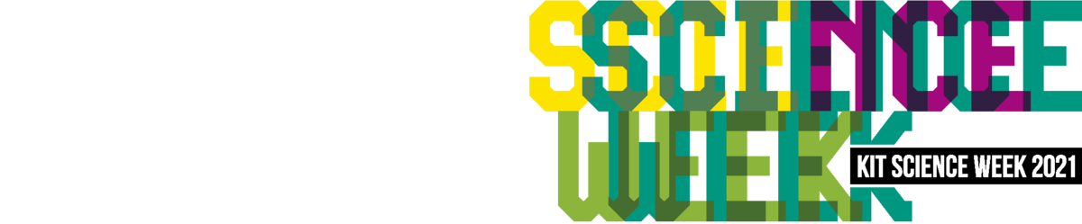 06 logo